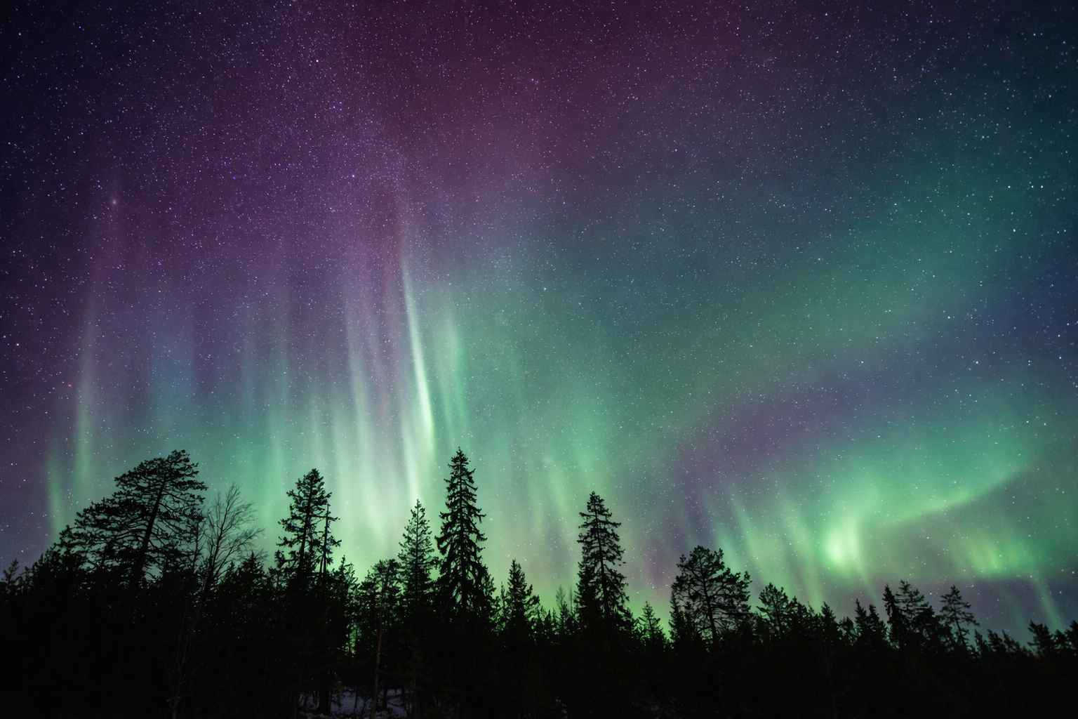 Northern Lights